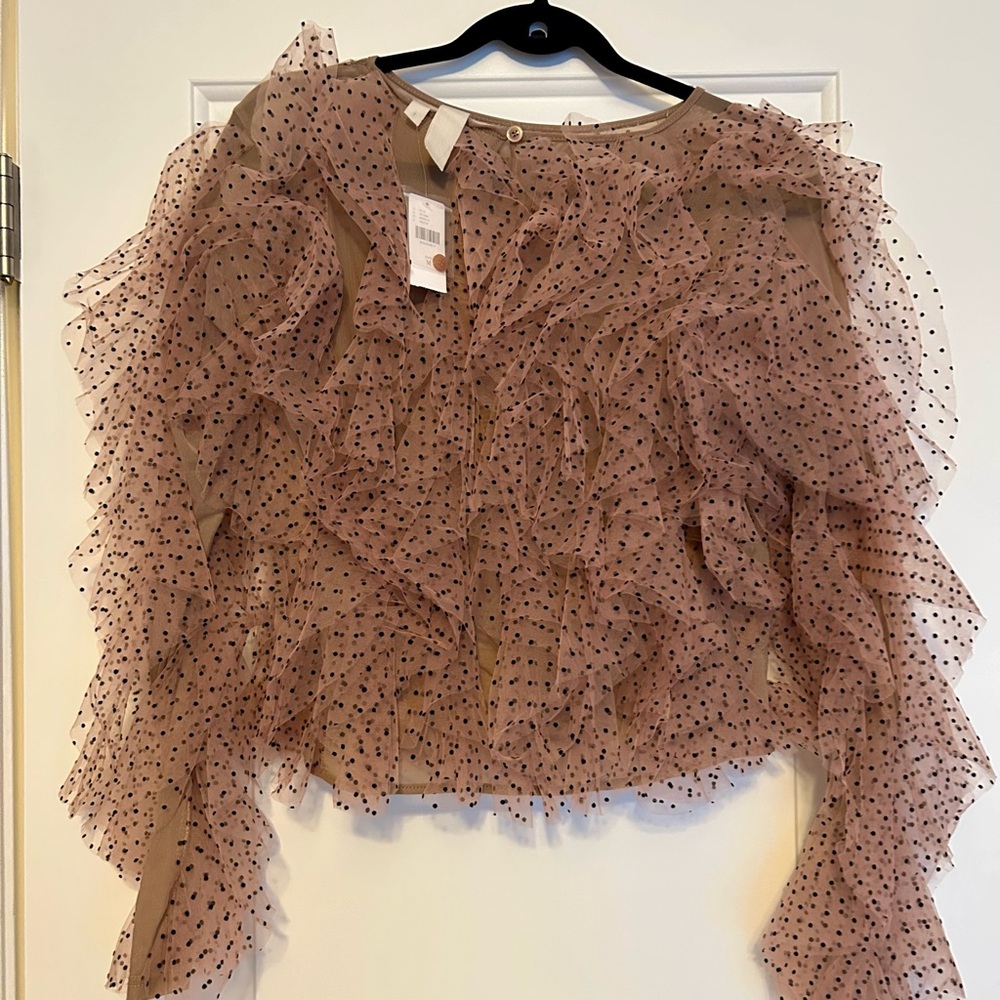 Anthropologie Dolan Mesh Ruffled Crop Blouse Long Sleeve